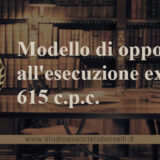 Guida completa all'opposizione all'esecuzione ex art 615 c.p.c. : forma, struttura, costi e tempi. Modello fac simile di opposizione all'esecuzione.